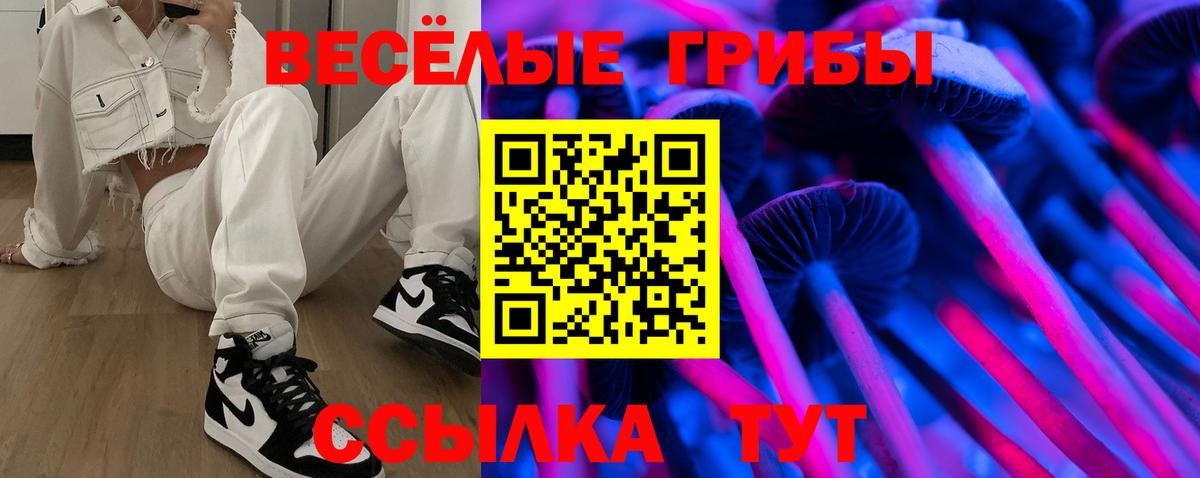 Меф Новочеркасск